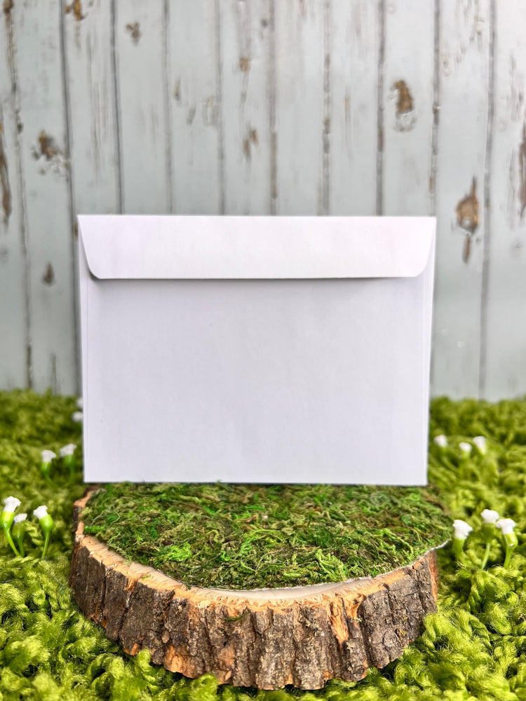 Chipmunk Laundry Notecard