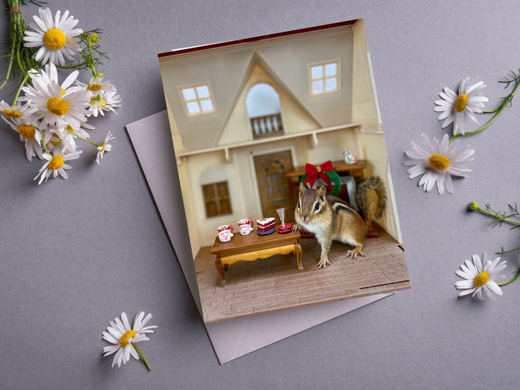 Chipmunk Christmas 1