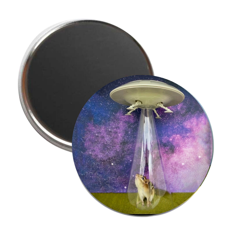 Chipmunk UFO Magnet