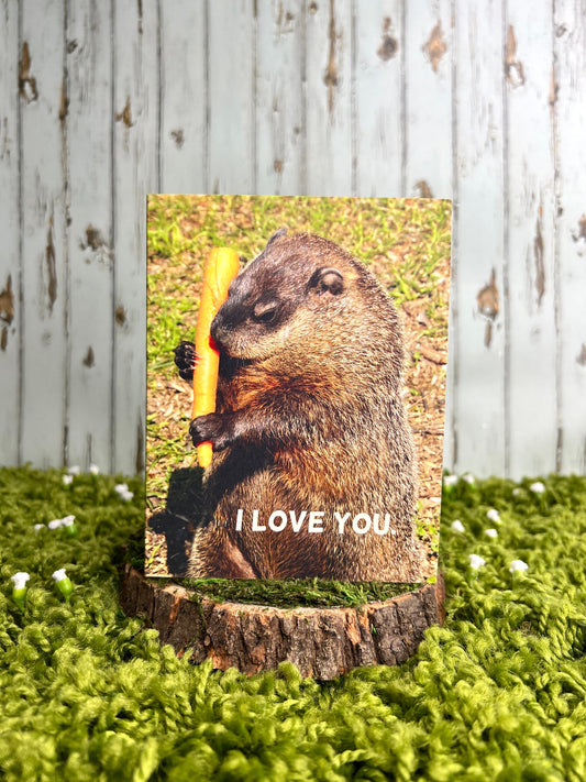 Groundhog Hugging a Carrot Notecard