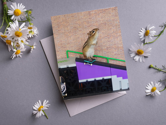 Chipmunk Skateboard Grind Notecard