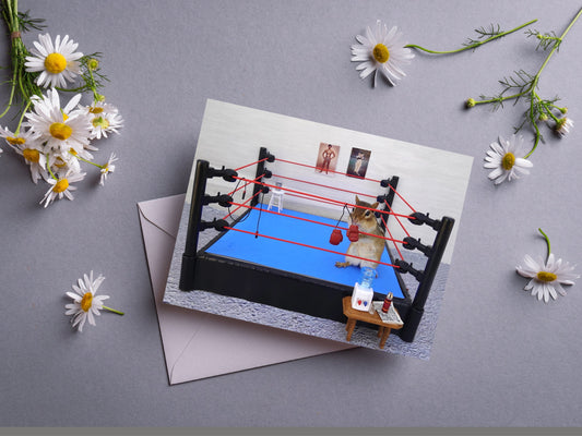 Chipmunk Boxing Notecard