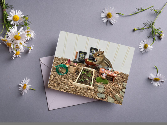 Chipmunk Garden Notecard