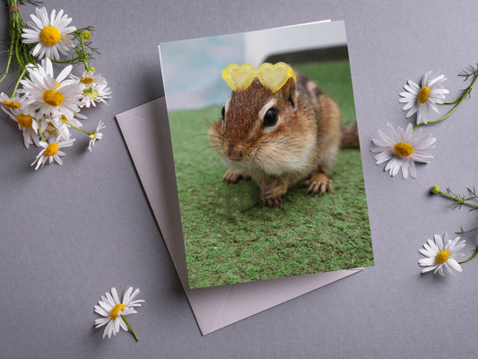 Chipmunk Wearing Sunglasses Notecard