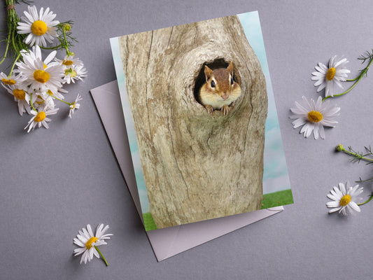 Chipmunk in Tree Notecard