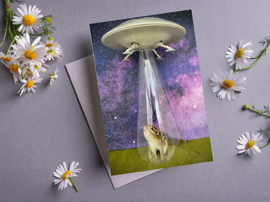 Chipmunk UFO Notecard