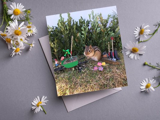 Chipmunk Yard Clean up Notecard